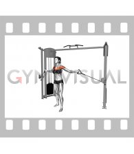 Cable Upper Chest Crossovers (female)