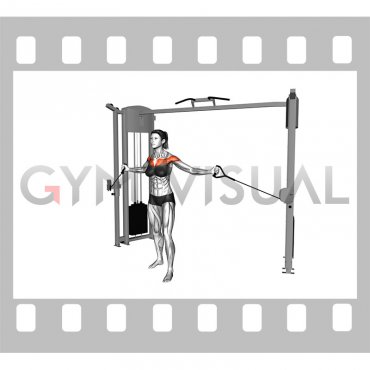 Cable Upper Chest Crossovers (female)