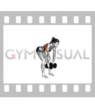 Dumbbell Rear Delt Fly (female)