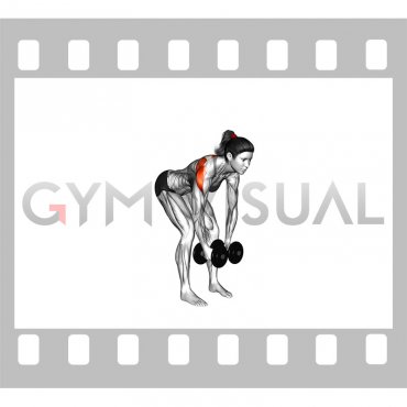 Dumbbell Rear Delt Fly (female)