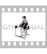Barbell Preacher Curl (female)