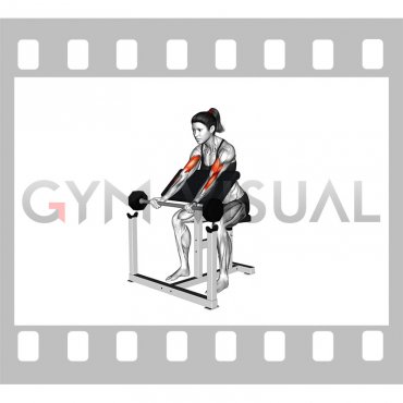 Barbell Preacher Curl (female)