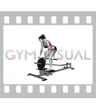 Lever T-bar Row (plate loaded) (female)