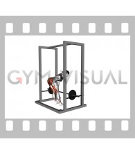 Barbell Rack Pull (female)