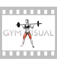 Barbell Sumo Squat (female)