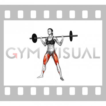 Barbell Sumo Squat (female)