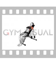 Dumbbell Incline Front Raise (female)