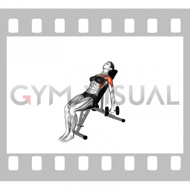 Dumbbell Incline Front Raise (female)