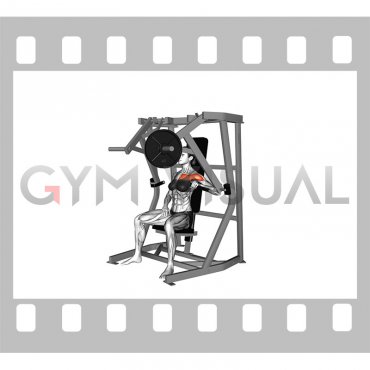 Lever Single Arm Chest Press (plate loaded) (female)