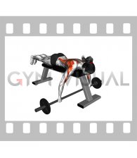 Barbell Lying Row (female)