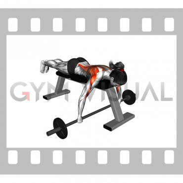 Barbell Lying Row (female)