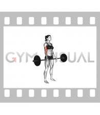 Barbell Drag Curl (VERSION 2) (female)