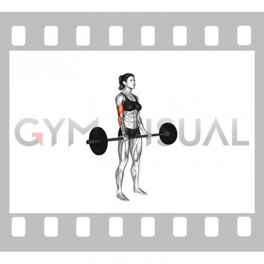 Barbell Drag Curl (VERSION 2) (female)