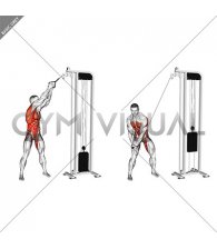 Cable twist (up-down) (Woodchopper)