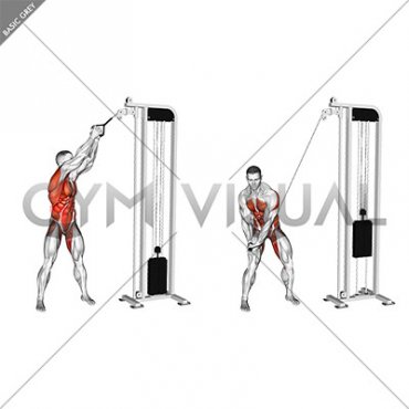 Cable twist (up-down) (Woodchopper)