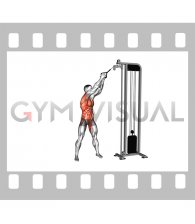 Cable twist (up-down)