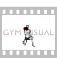 Dumbbell Half Kneeling Single Arm Shoulder Press (male)