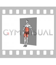 Standing Alternating Ankle Tap Wall Supported (male)