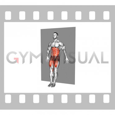 Standing Alternating Ankle Tap Wall Supported (male)