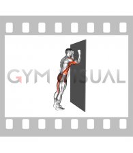 Dynamic Wall Plank (male)