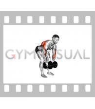 Dumbbell Rear Delt Fly and Row (male)