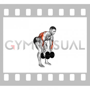 Dumbbell Rear Delt Fly and Row (male)