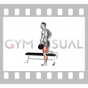 Dumbbell Single Leg Romanian Deadlift on Bench (male)
