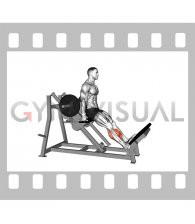 Lever Linear Calf Raise (male)