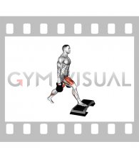 Kettlebell Split Squat Front Foot Elevanted