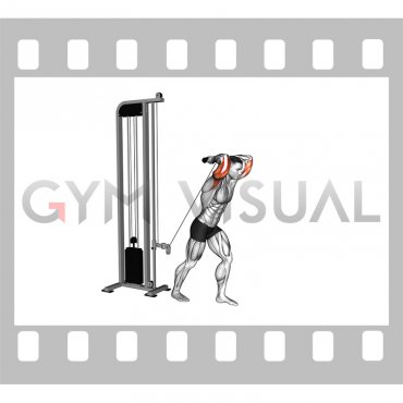 Cable Overhead Triceps Extension SZ Bar (male)