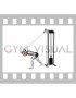 Cable High Pulley Overhead Triceps Extension SZ Bar