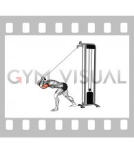 Cable High Pulley Overhead Triceps Extension SZ Bar