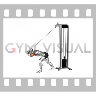 Cable High Pulley Overhead Triceps Extension SZ Bar
