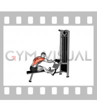 Cable Dual Handle Seated Neutral Grip Row (male)