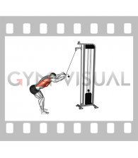 Cable Straight Arm Pulldown (SZ Bar)