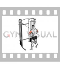 Cable Standing High Cross Neutral grip Triceps Extension