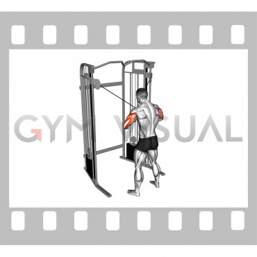 Cable Standing High Cross Neutral grip Triceps Extension