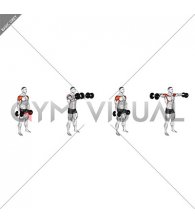 Dumbbell Standing Front and Lateral Raise