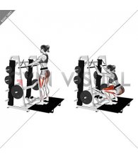 Lever Belt Squat (female)