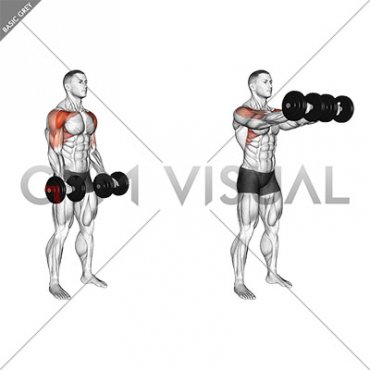 Dumbbell Underhand Front Raise