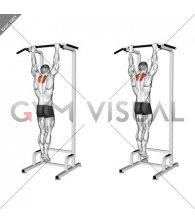 Scapular Pull-up (VERSION 2)