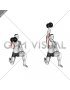 Dumbbell Half Kneeling Single Arm Shoulder Press (male)