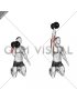 Dumbbell Kneeling Single Arm Shoulder Press (male)