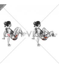 Seated Bent Knee Abduction Feet Floor Off (female)