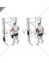 Cable Standing High Cross Neutral grip Triceps Extension