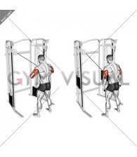 Cable Standing High Cross Neutral grip Triceps Extension