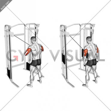 Cable Standing High Cross Neutral grip Triceps Extension