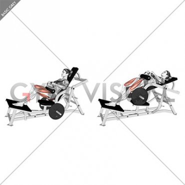 Lever Stagged Stance Hip Thrust (plate loaded) (female)