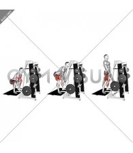 Lever Belt Sumo Deadlift (V bar) (male)