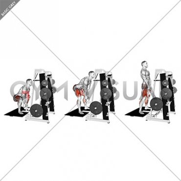 Lever Belt Sumo Deadlift (V bar) (male)